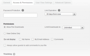 FileShare Link Access & Permissions Window