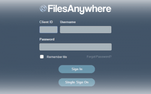Lite Interface Login Window