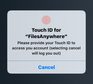 FilesAnywhere Touch ID