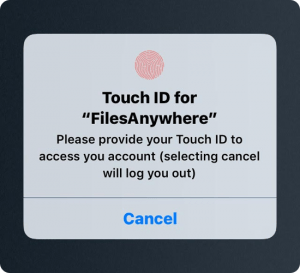 Mobile Application Touch ID